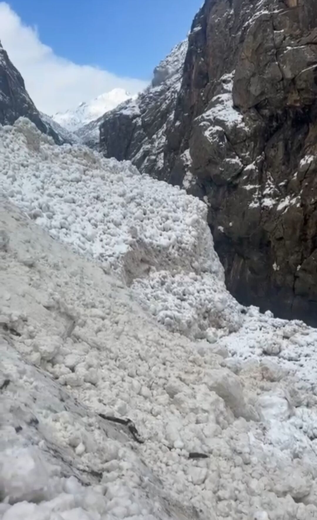 I M G 20260323 122010