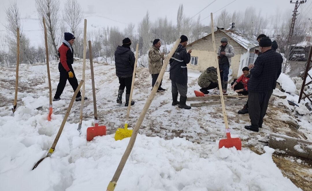 I M G 20260328 111132