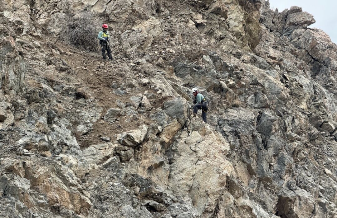 I M G 20260329 103746