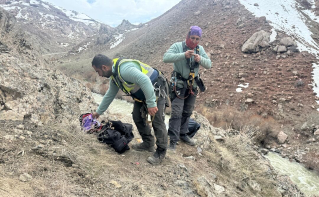 I M G 20260329 103758