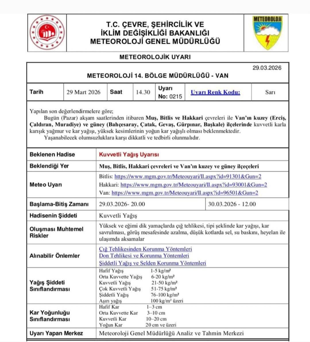 I M G 20260329 193301