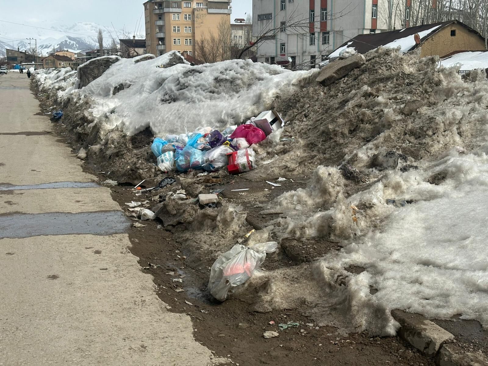 Whatsapp Image 2026 03 11 At 14.46.26 (3)