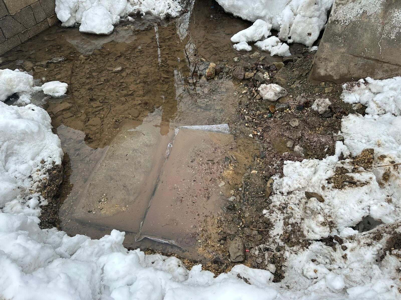 Whatsapp Image 2026 03 26 At 12.36.21 (2)