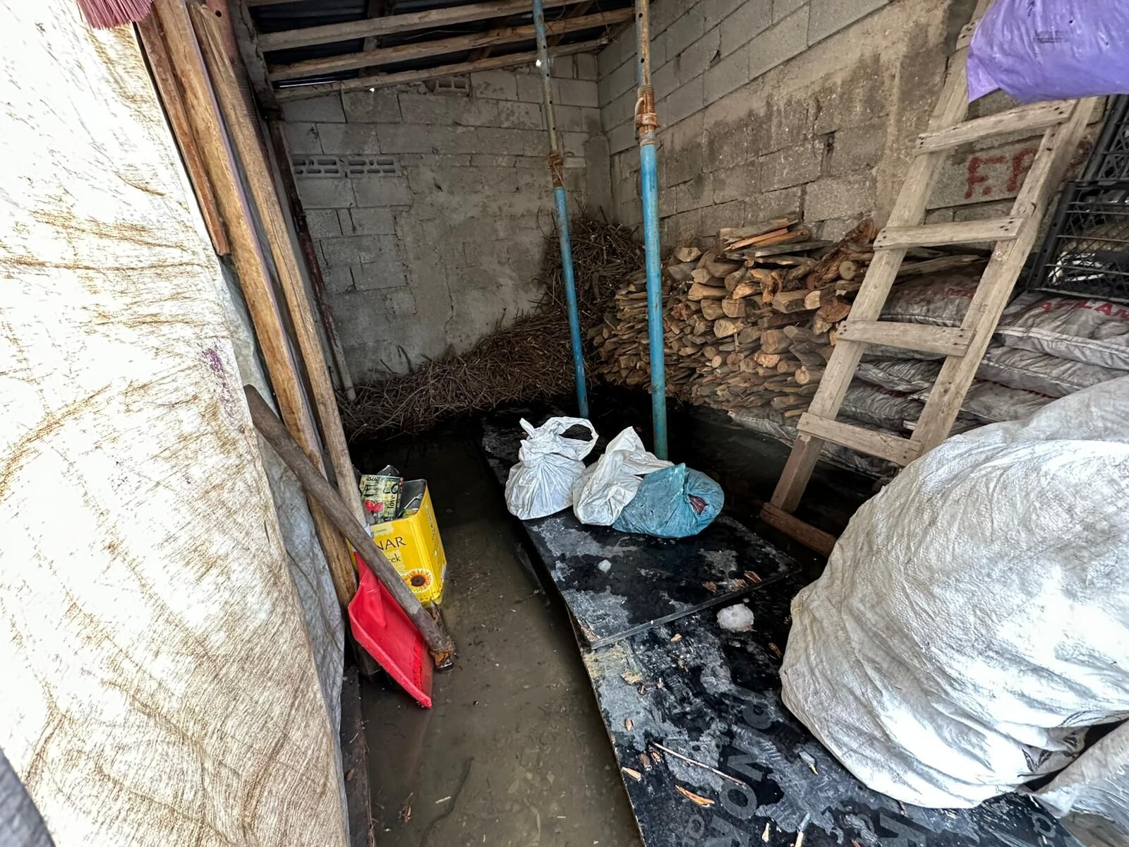 Whatsapp Image 2026 03 26 At 12.36.23 (4)