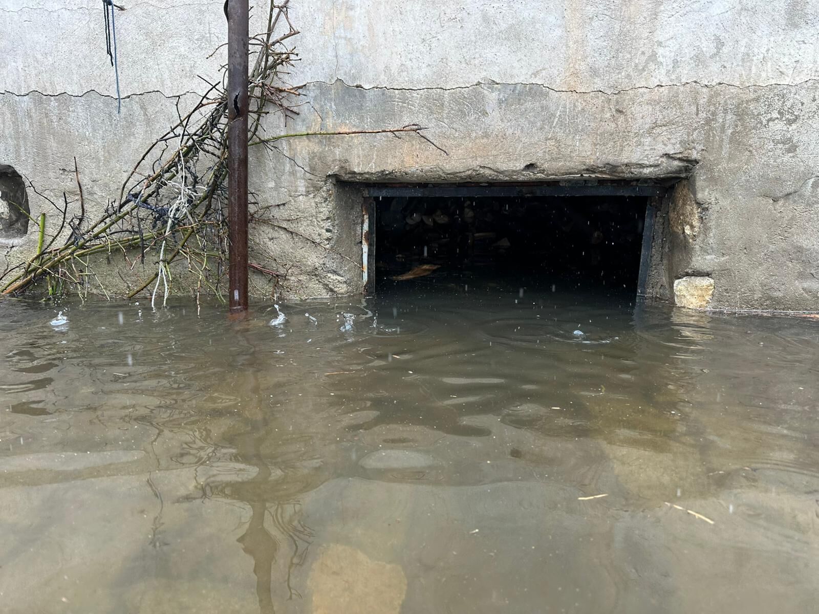 Whatsapp Image 2026 03 26 At 12.36.24 (2)