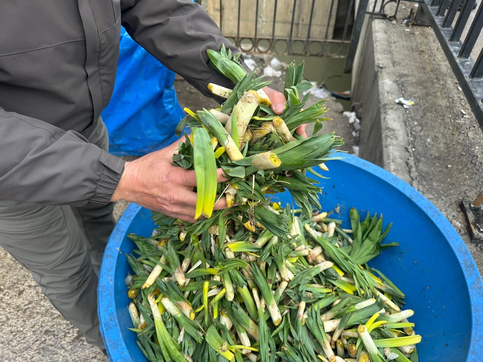 Whatsapp Image 2026 03 28 At 12.43.01 (1)