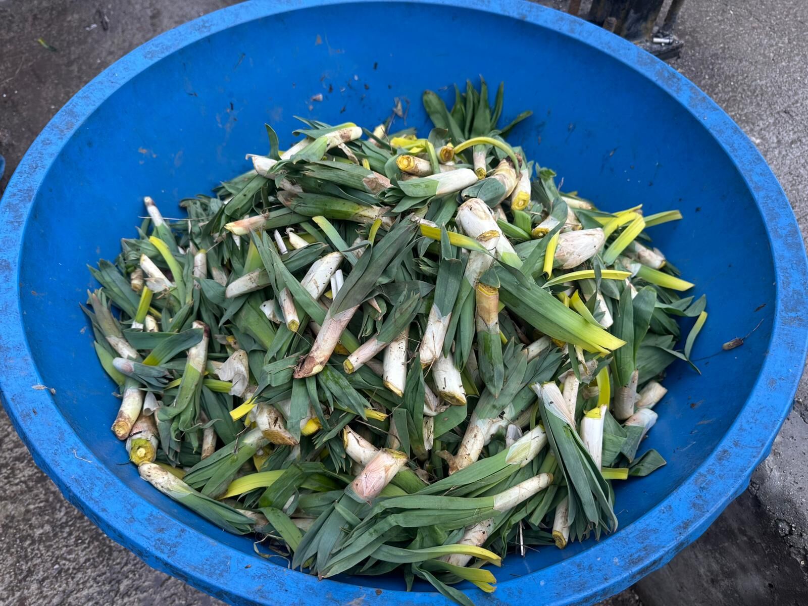 Whatsapp Image 2026 03 28 At 12.43.01 (2)