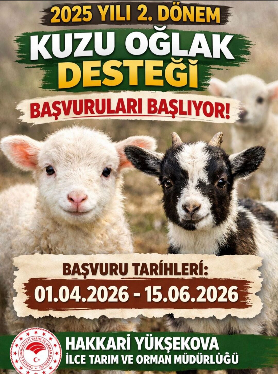 I M G 20260401 095814