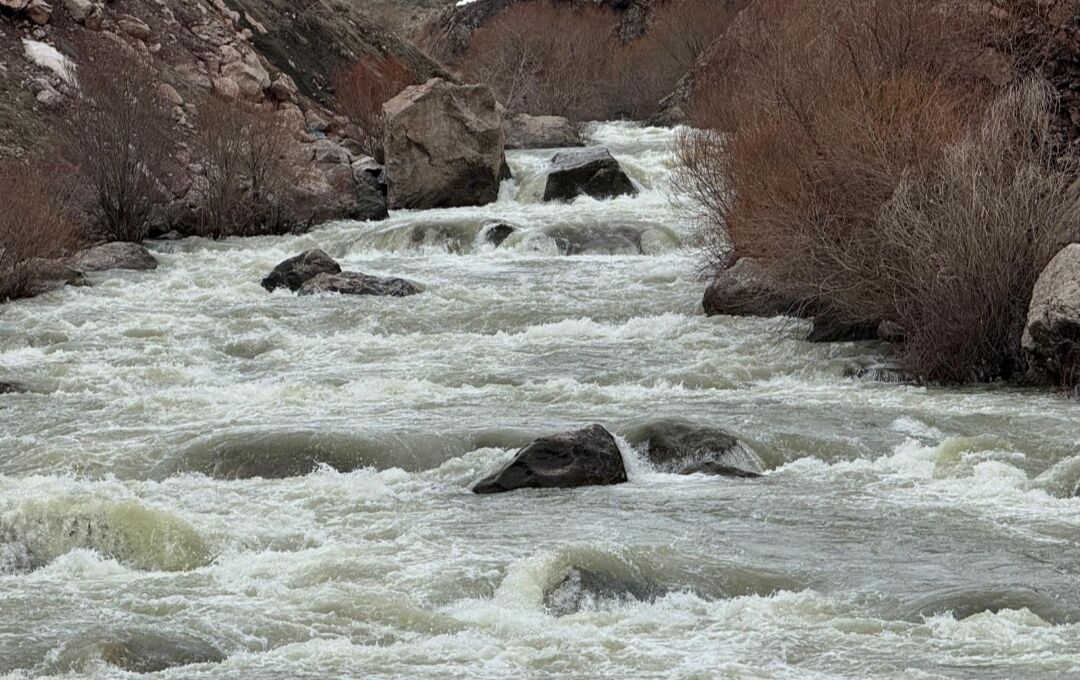 I M G 20260401 144946