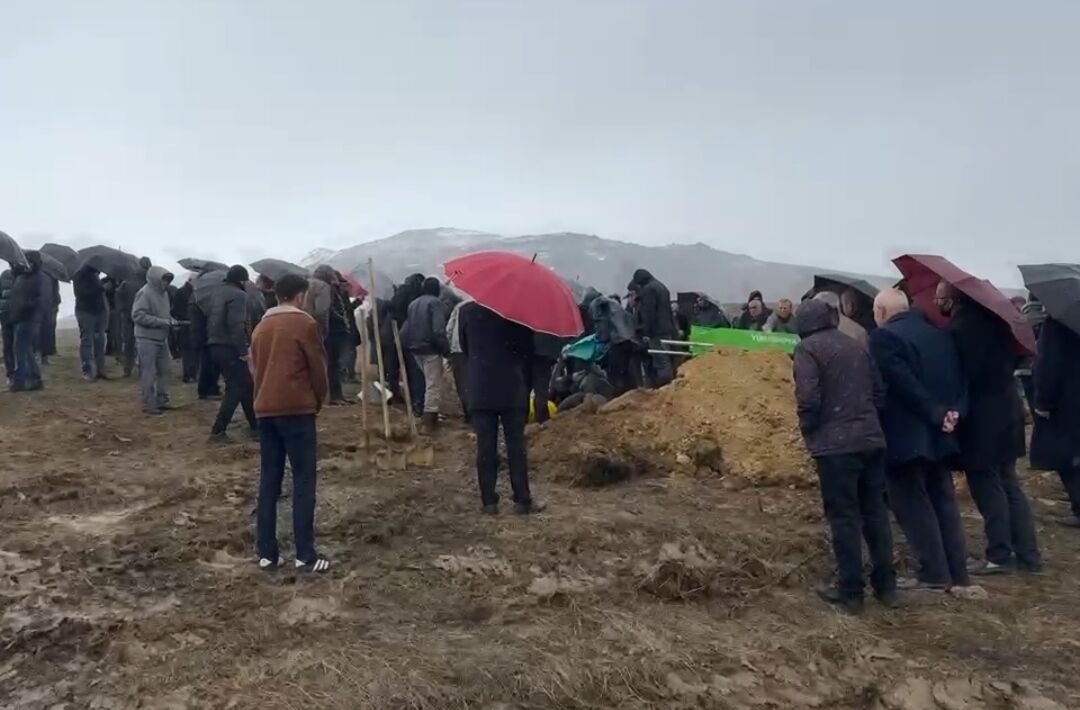 I M G 20260410 102239