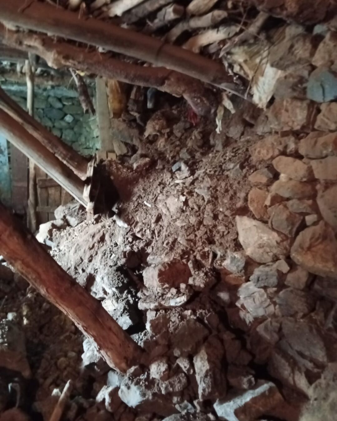 I M G 20260411 104156