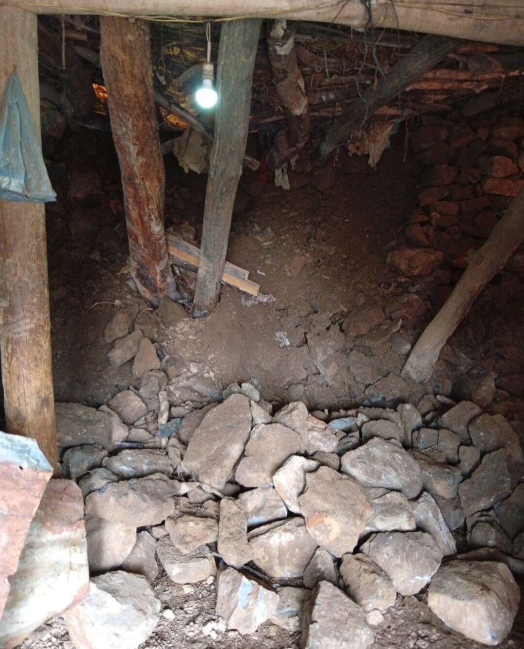 I M G 20260411 104206