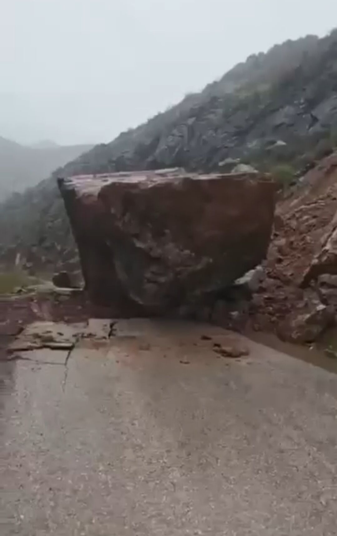 I M G 20260412 145726