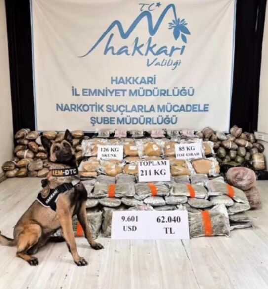 I M G 20260414 194300