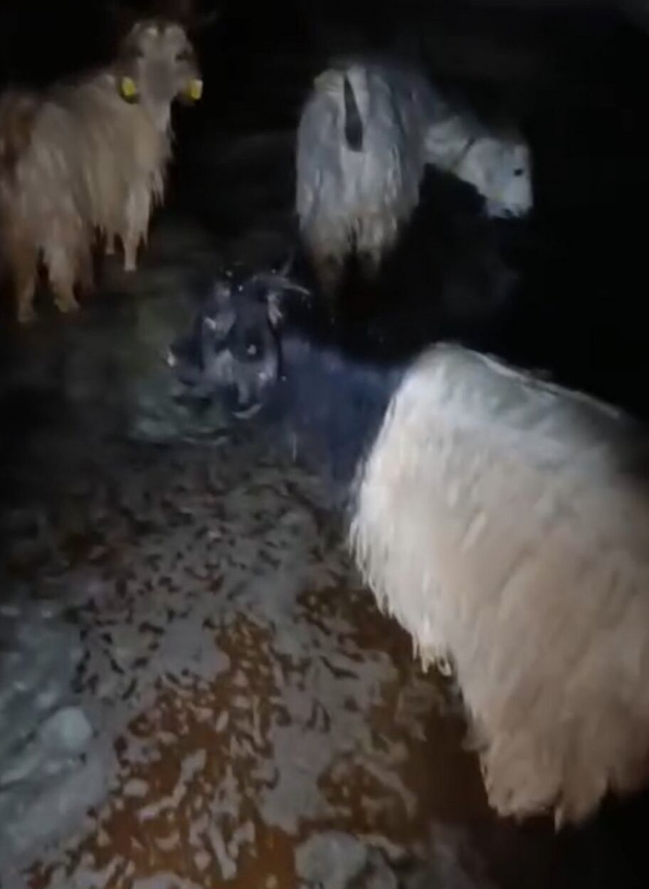 I M G 20260420 210305