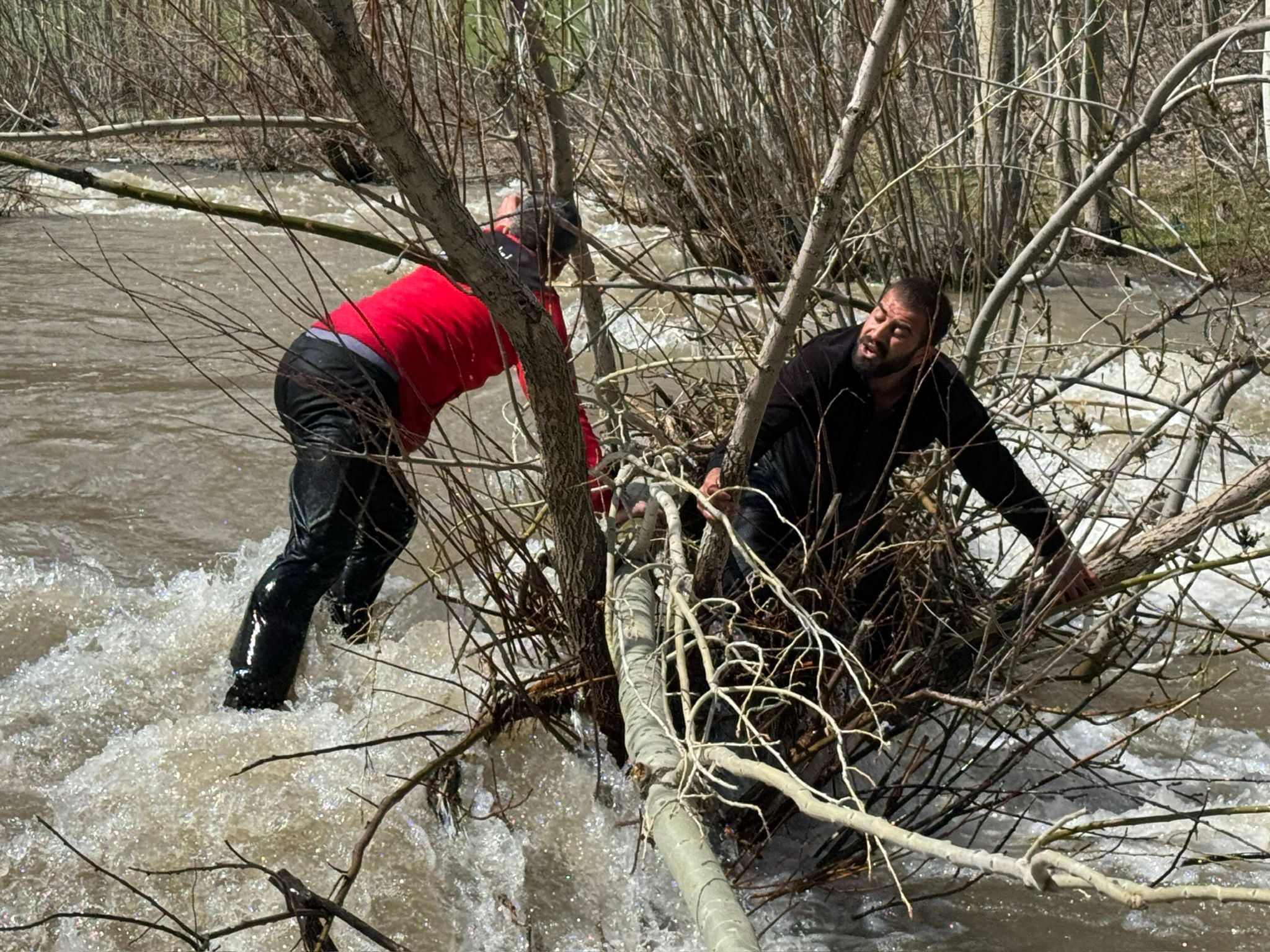 I M G 20260426 W A0026