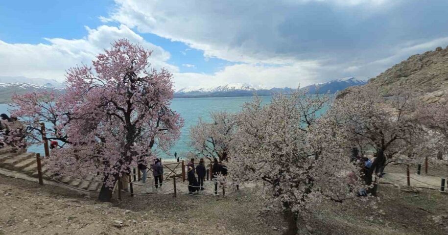 I M G 20260427 120104