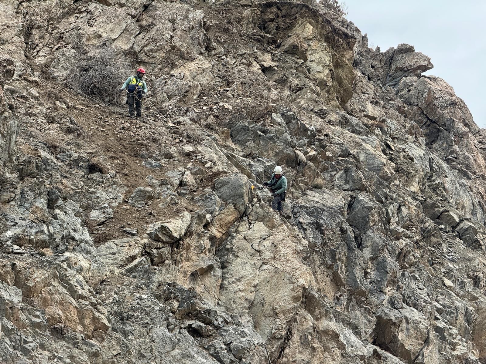 Whatsapp Image 2026 04 02 At 12.53.03