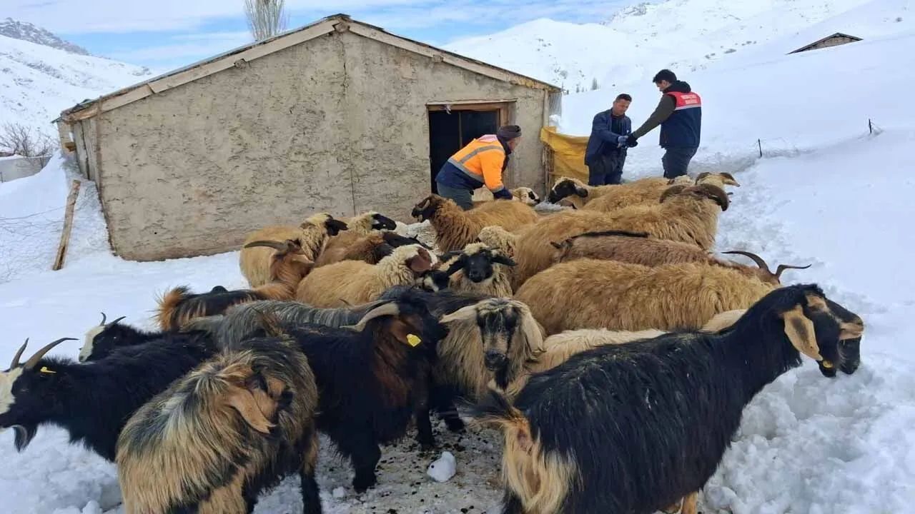 Whatsapp Image 2026 04 06 At 16.41.44