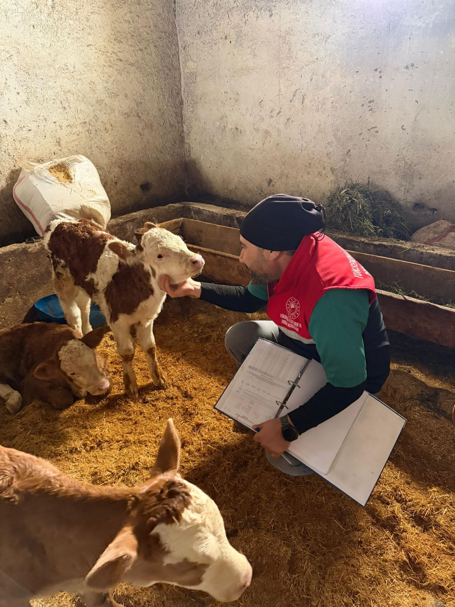 Whatsapp Image 2026 04 06 At 16.41.45 (2)