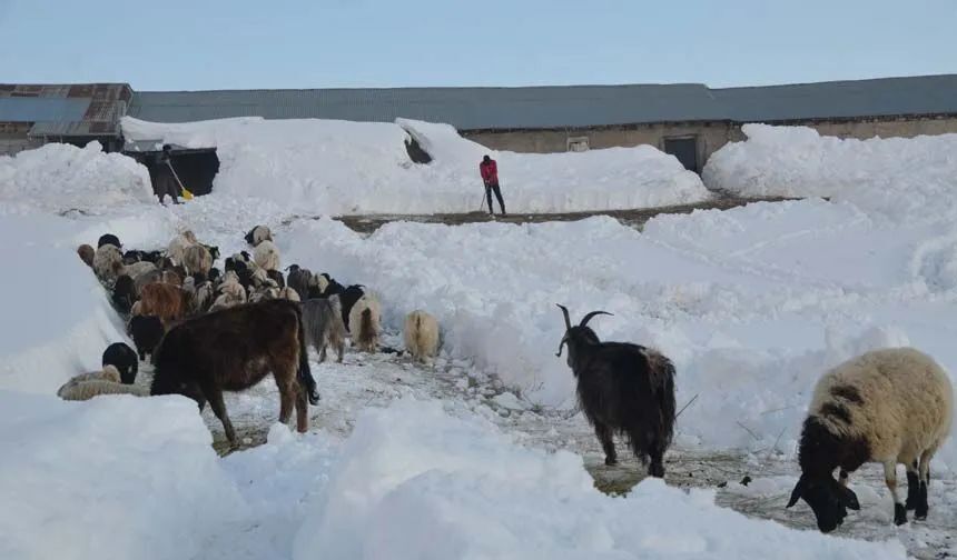 Whatsapp Image 2026 04 18 At 11.15.33 (1)