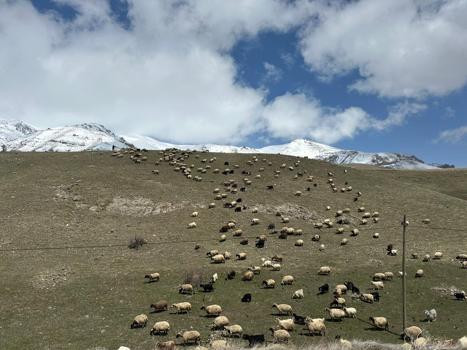 Whatsapp Image 2026 04 18 At 11.26.56 (1)