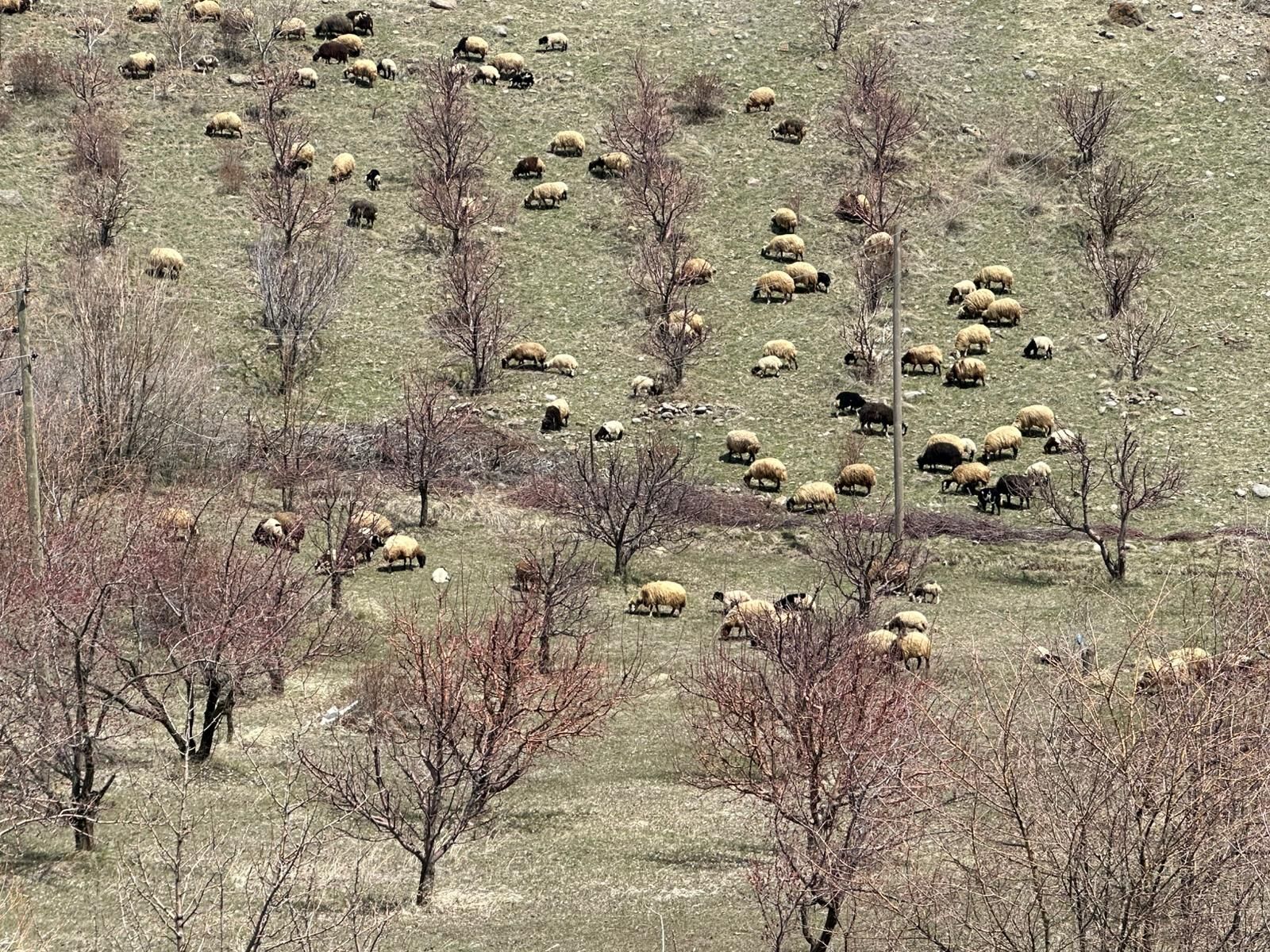 Whatsapp Image 2026 04 18 At 11.26.56