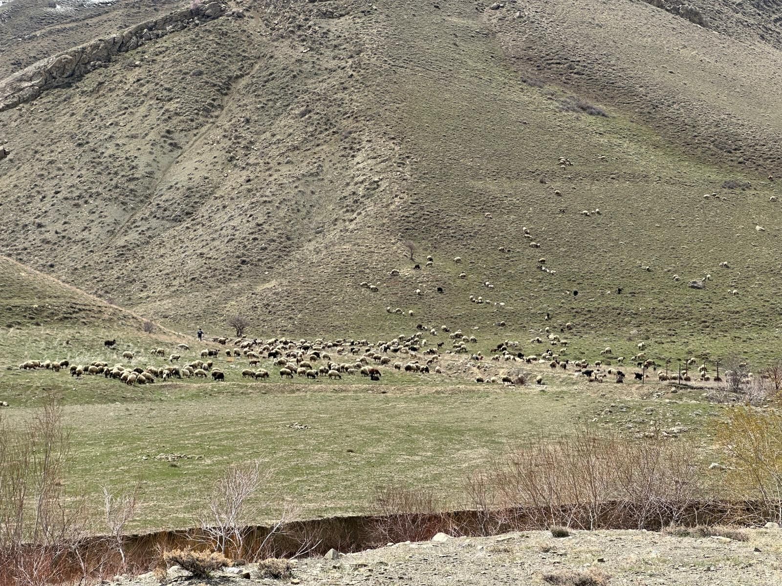 Whatsapp Image 2026 04 18 At 11.26.57