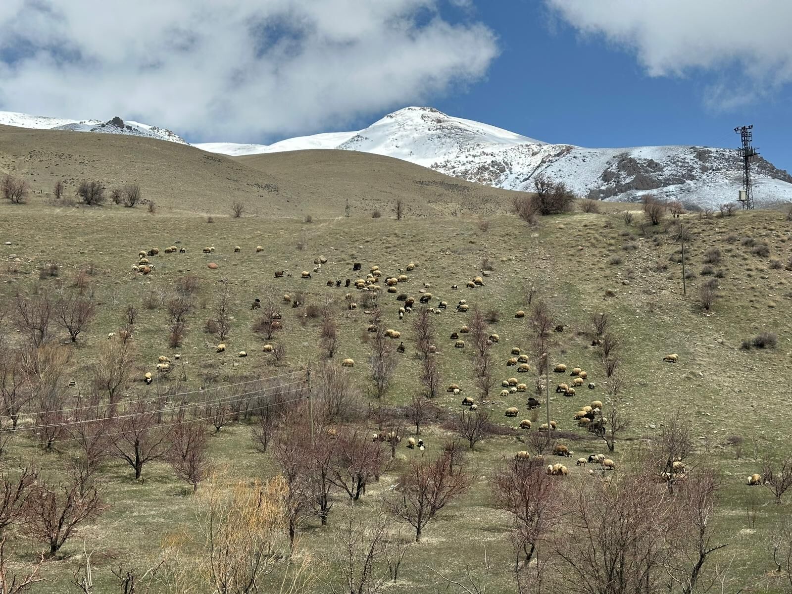 Whatsapp Image 2026 04 18 At 11.26.58