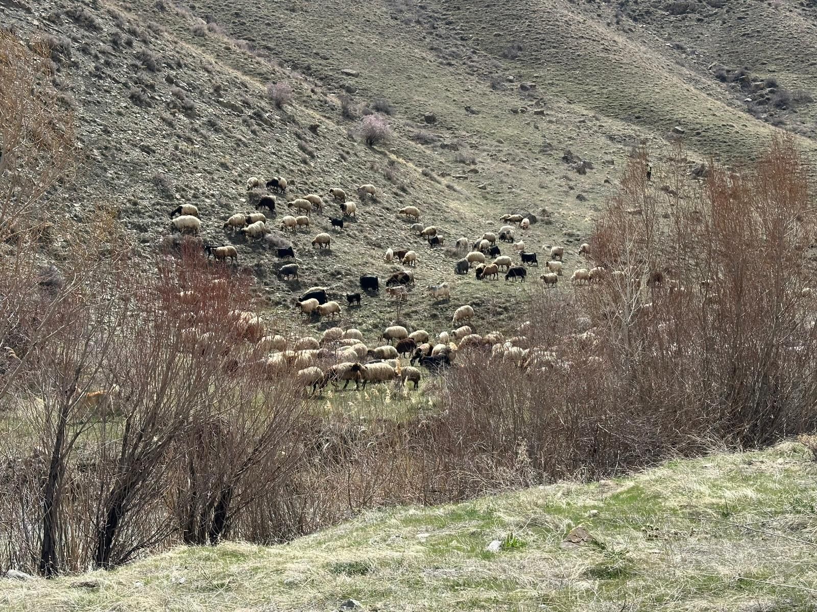 Whatsapp Image 2026 04 18 At 11.26.59 (1)