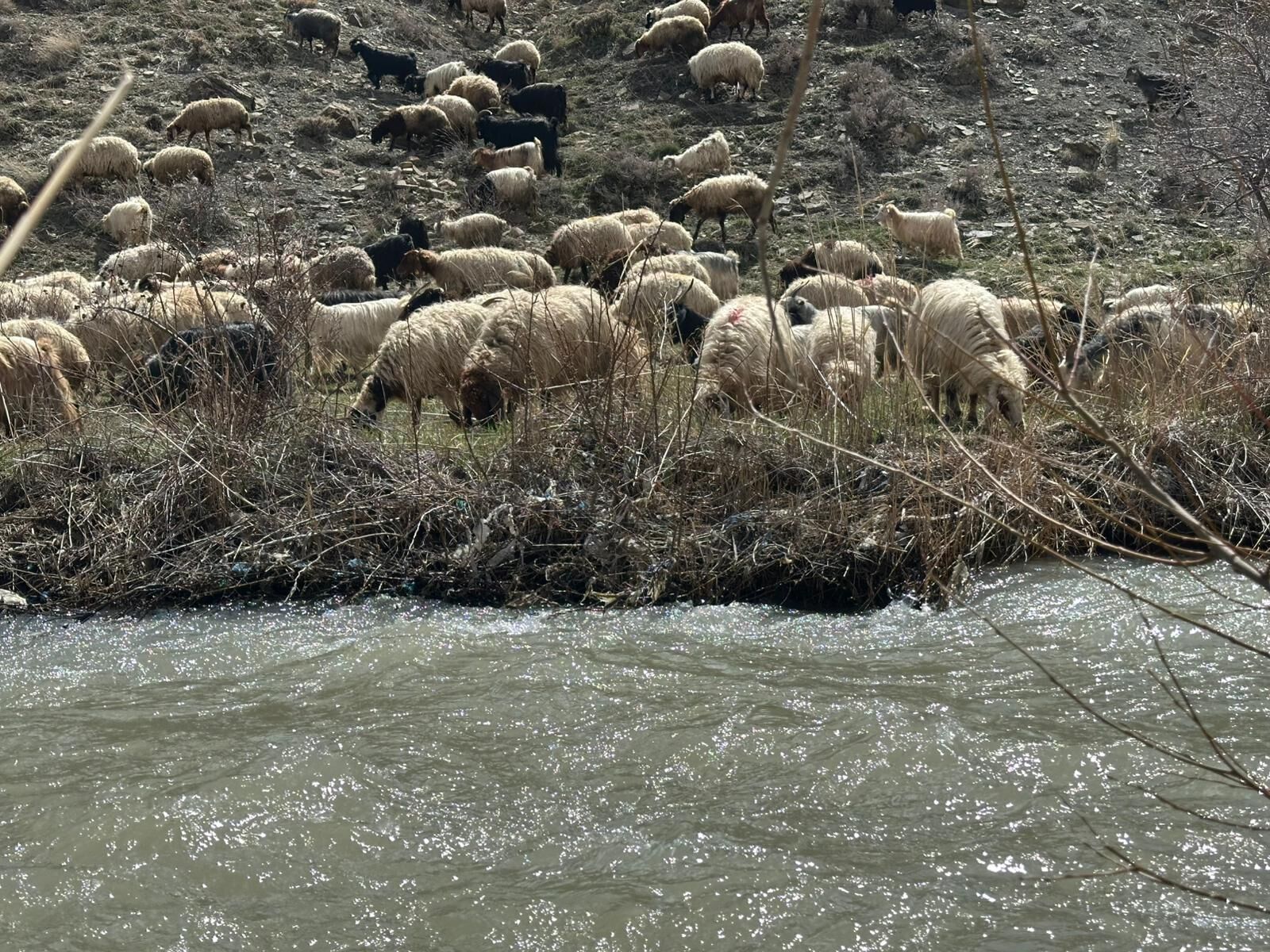 Whatsapp Image 2026 04 18 At 11.26.59