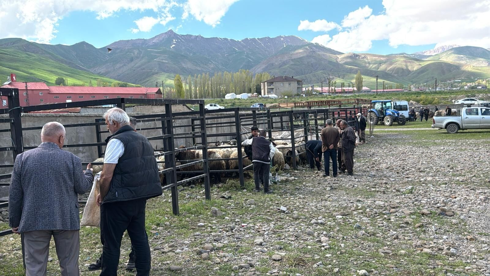 Şşşş-19