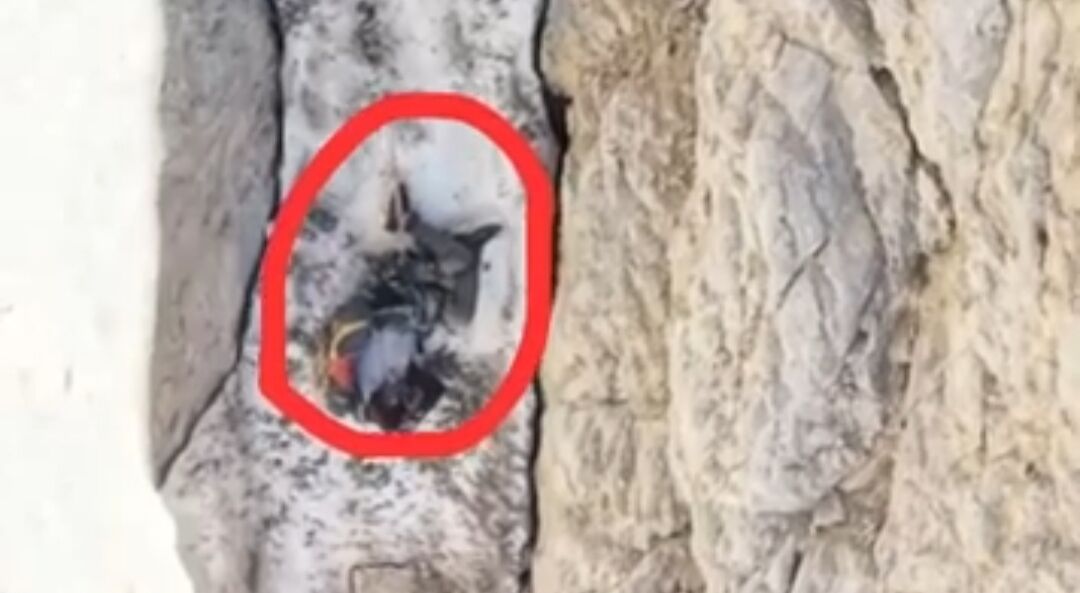 Cilo Dağın’nda Hayatını Kaybeden Dağcının Düştüğü Nokta Görüntülendi