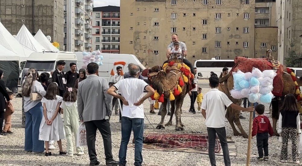 Yüksekova’da Develer ve Midilli Atları İlgi Odağı Oldu