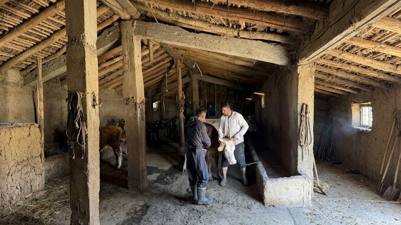 Bulaşıcı Hastalıklara Karşı Aşılama ve Kayıt Çalışmaları Sürüyor
