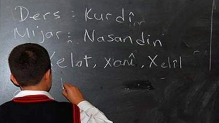 DEM Parti Hakkâri İl Örgütü, yeni eğitim yılı öncesi anadil çağrısı