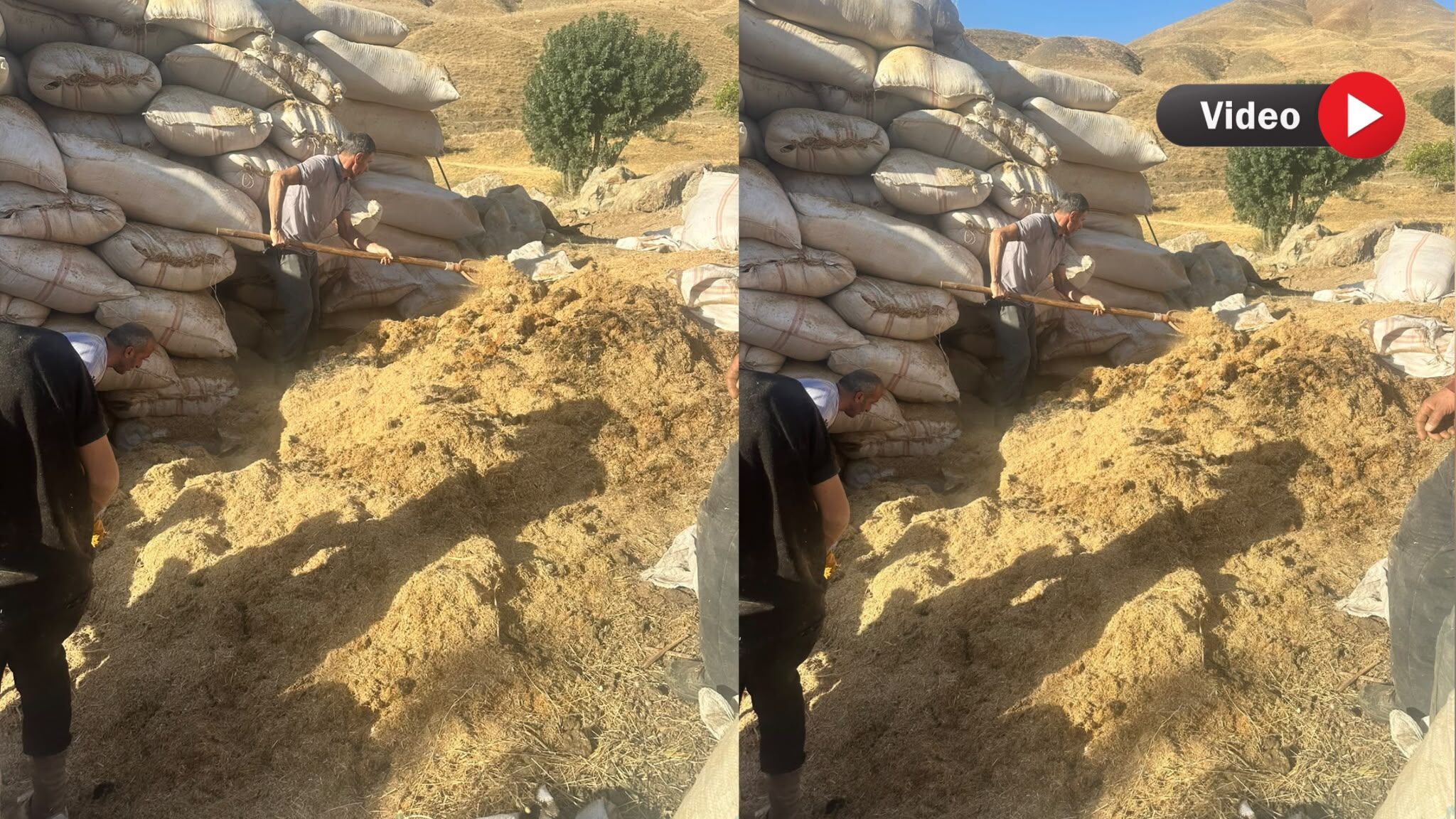 Hakkari’de 5 ton saman yandı