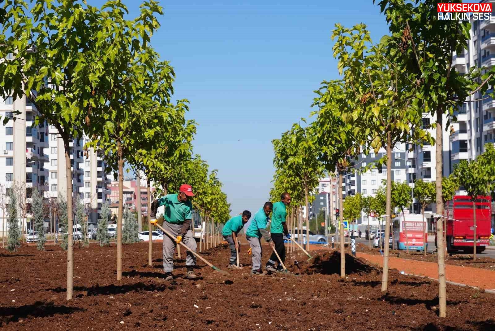 Diyarbakır’da yeşil bir kent için 9 bin ağaç ve 50 bin çalı toprakla buluştu