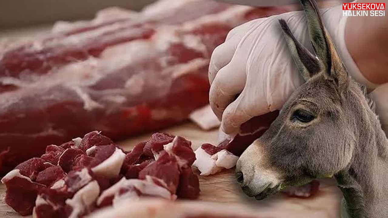 Bakanlık Türkiye'de Vatandaşlara En Fazla At ve Eşek Eti Yediren Şehirleri Açıkladı!